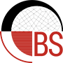 Biz Synergist
